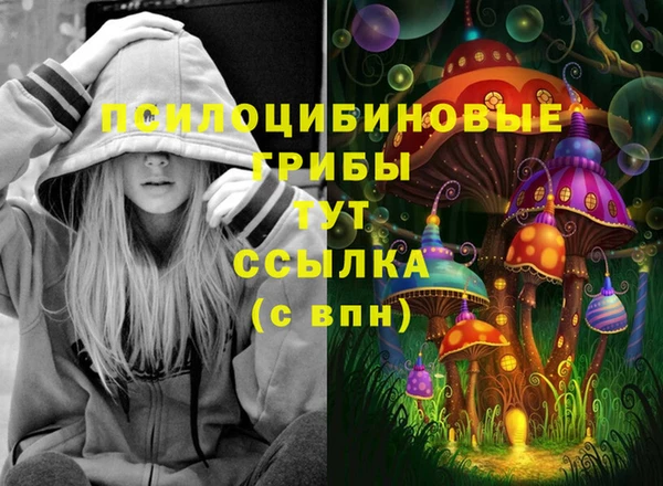 винт Бронницы