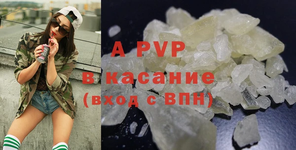 PSILOCYBIN Покачи