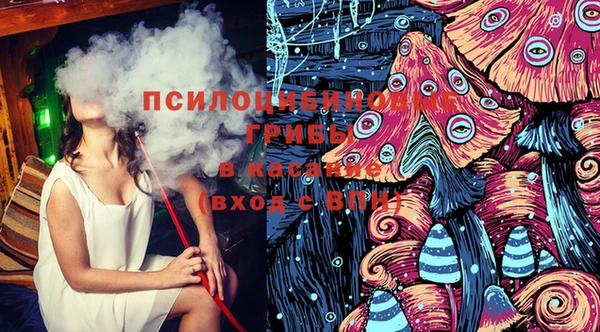 PSILOCYBIN Покачи