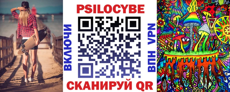 где найти наркотики  Питкяранта  kraken ONION  Галлюциногенные грибы MAGIC MUSHROOMS 